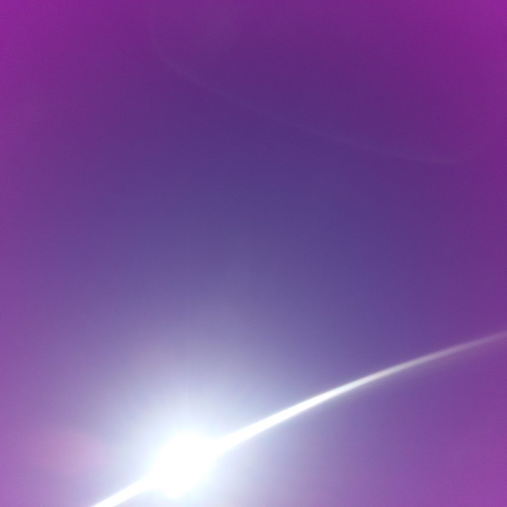 変容の紫